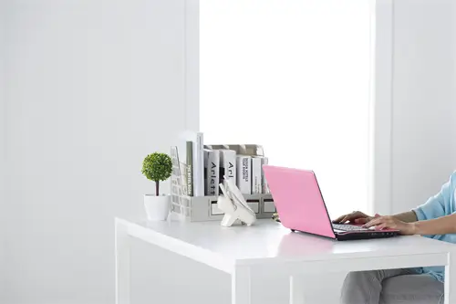 暨南大学舒展老师简介