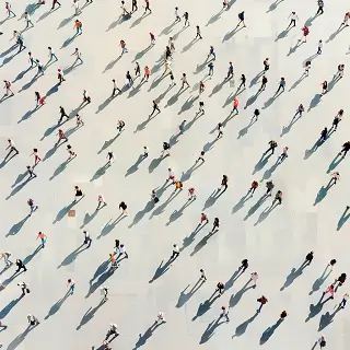 燕山大学杨凡简介资料