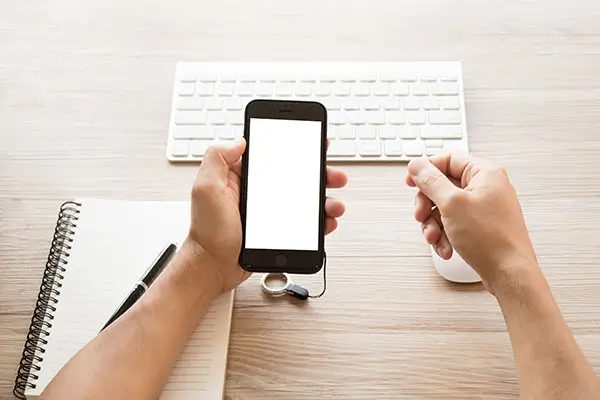 安徽师范大学邓亚萍简介