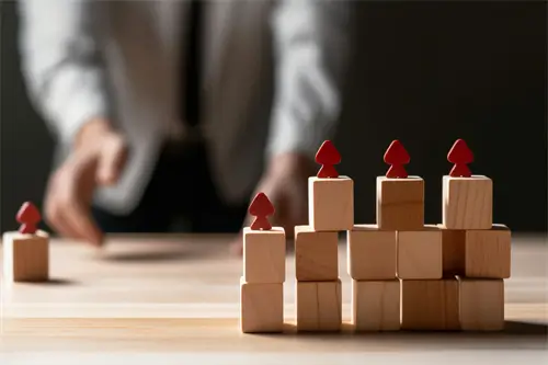 聊城大学蒋敬宇简介